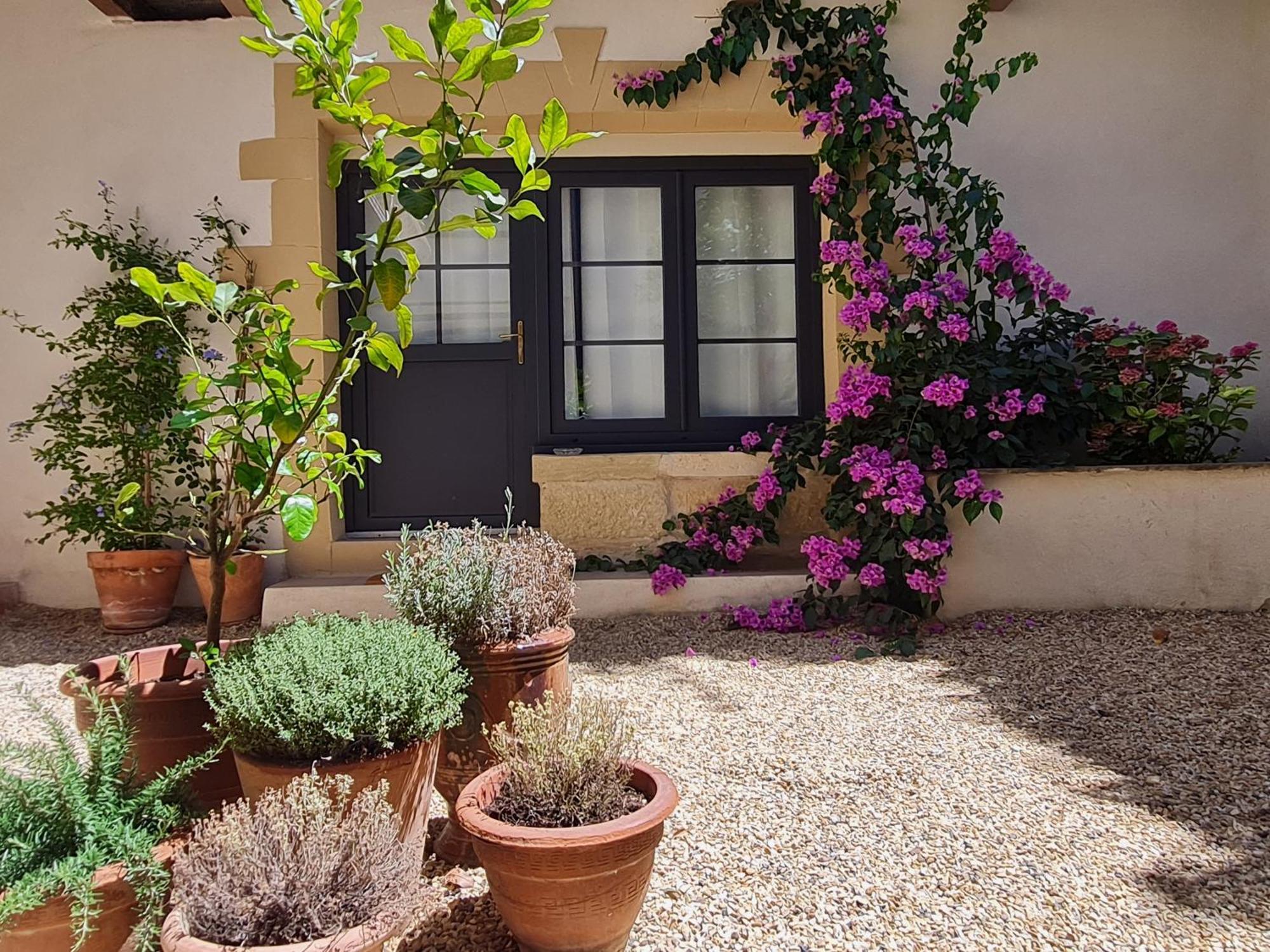 Les Songes D'Augustine Apartamento Aigues-Vives  Exterior foto